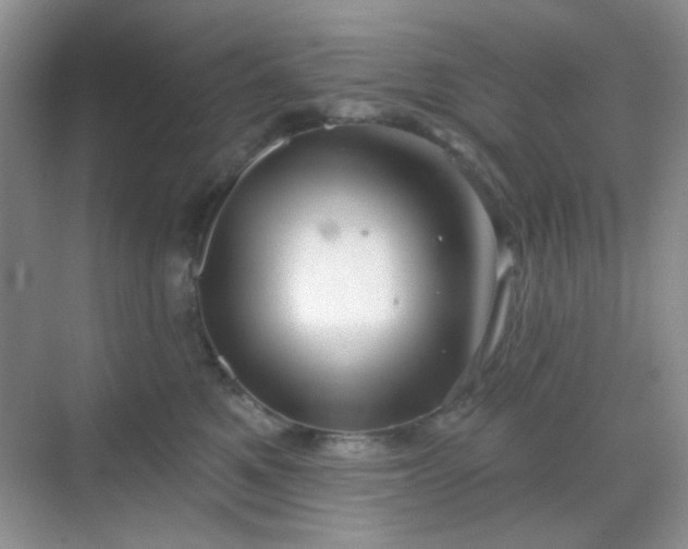 X0000068720521200605051436