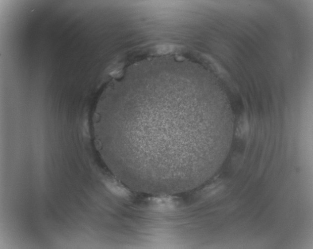 X0000068720524200605051436