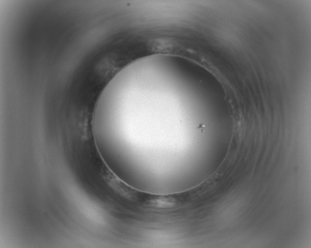 X0000068720525200605051436