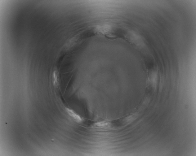 X0000068720526200605051436