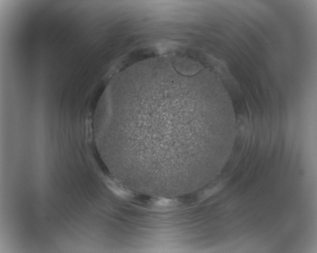 X0000068720527200605051436