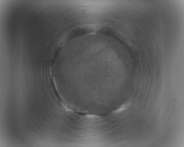 X0000068720528200605051436