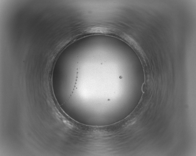 X0000068720529200605051435