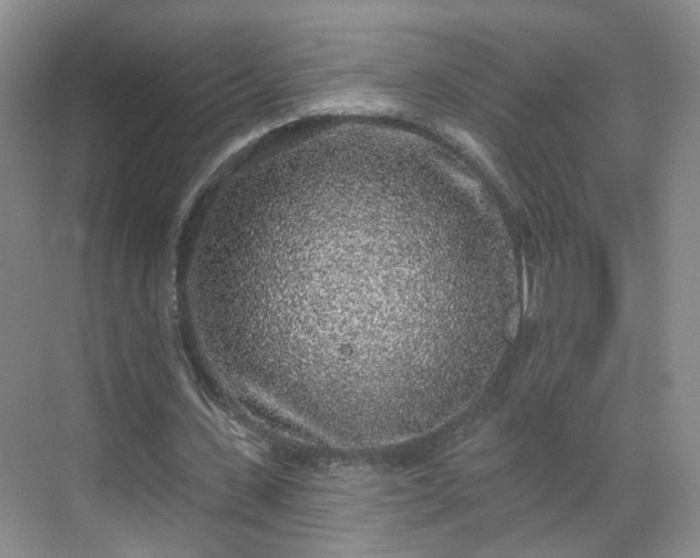 X0000068720531200605051435