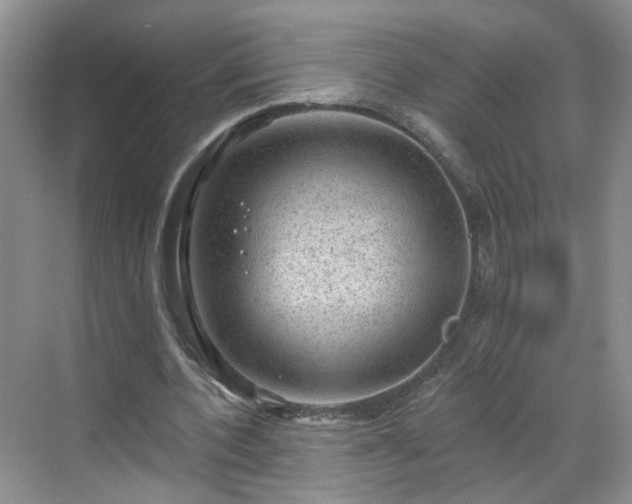 X0000068720532200605051435