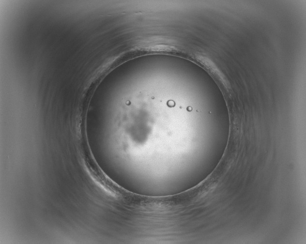 X0000068720533200605051435