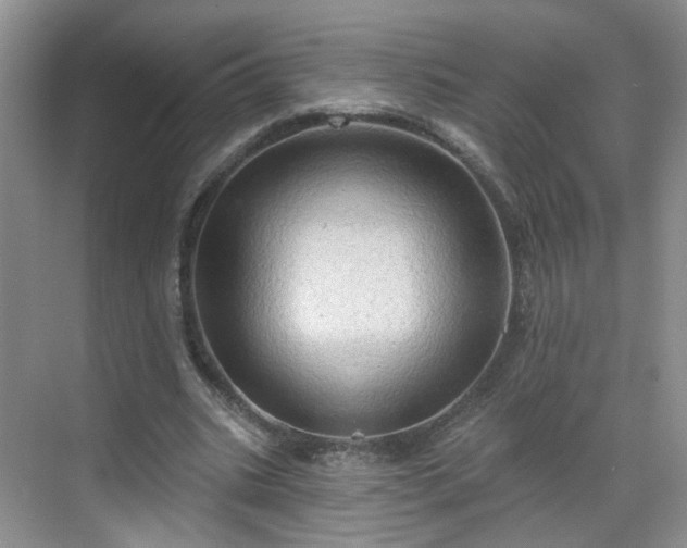 X0000068720535200605051435