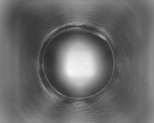 X0000068720536200605051435