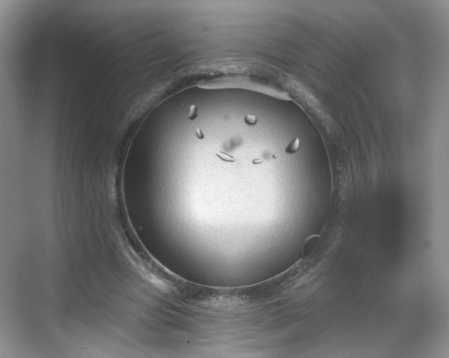 X0000068720537200605051435