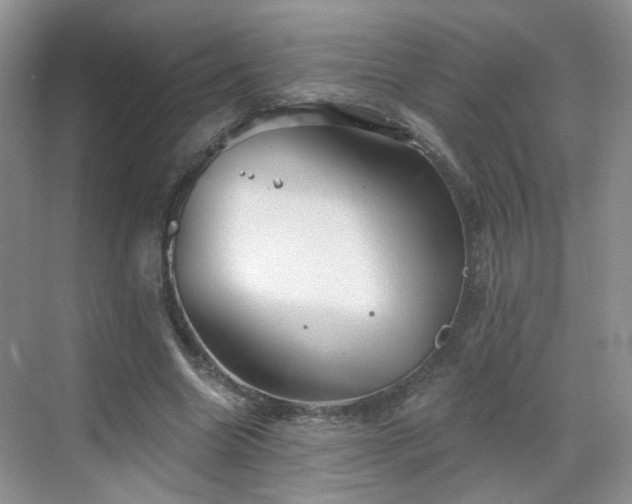 X0000068720538200605051435