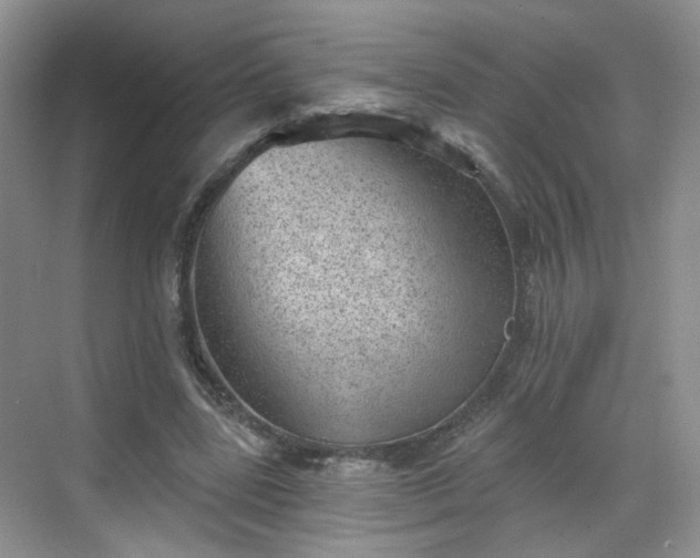 X0000068720539200605051436