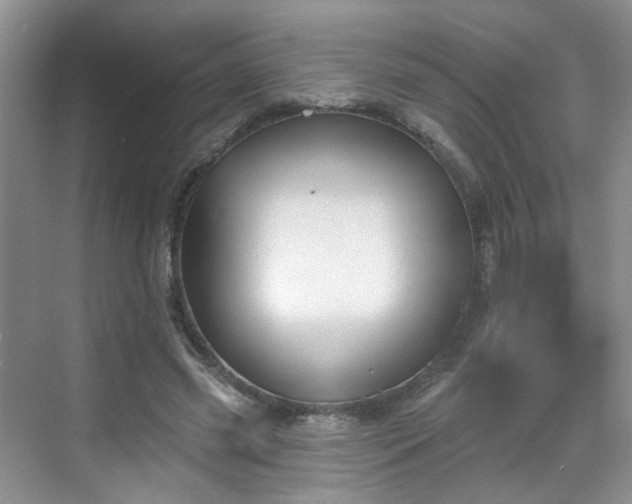 X0000068720541200605051436