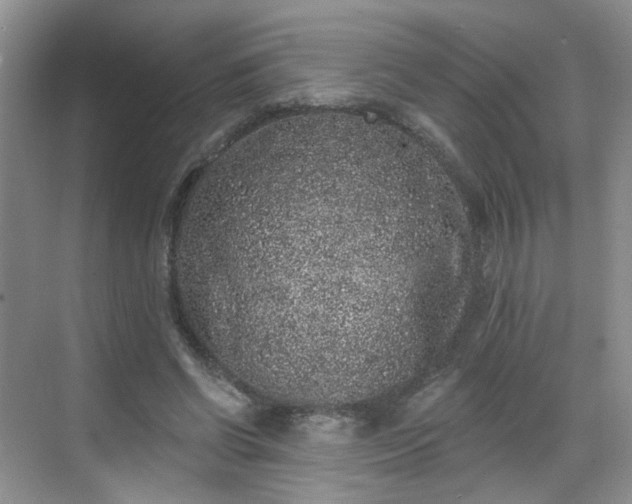 X0000068720542200605051436