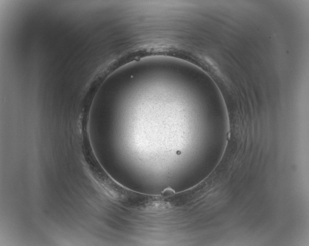 X0000068720543200605051436