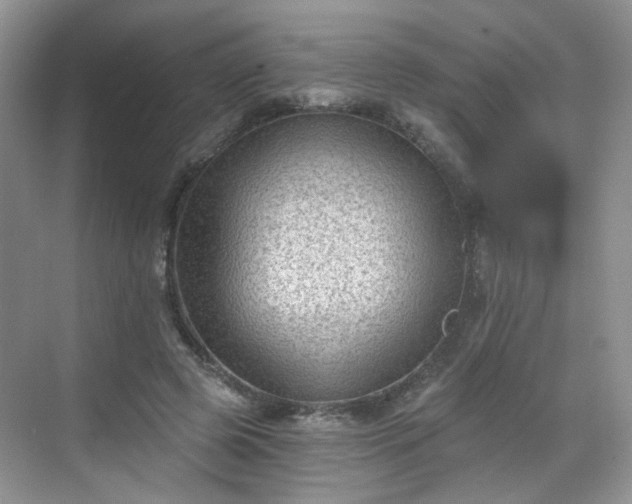 X0000068720545200605051436