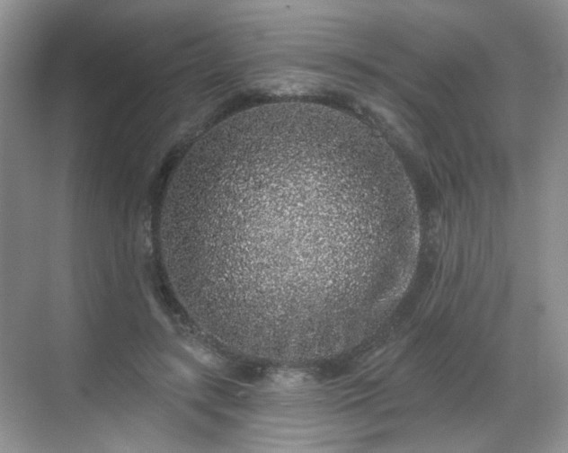 X0000068720547200605051436