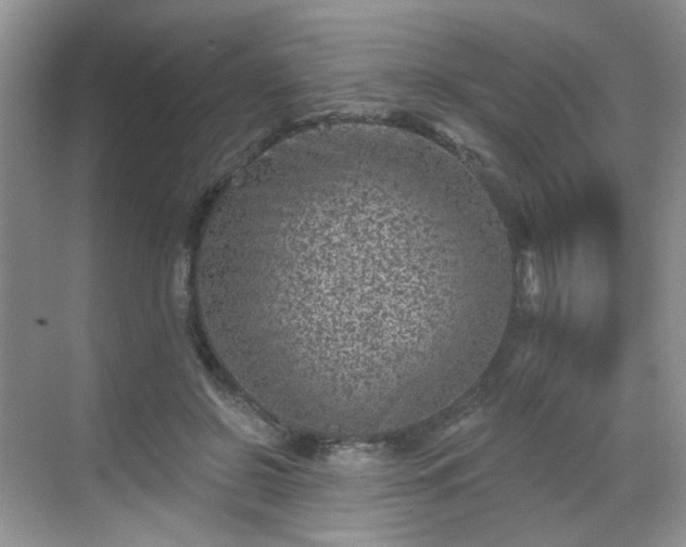 X0000068720550200605051436