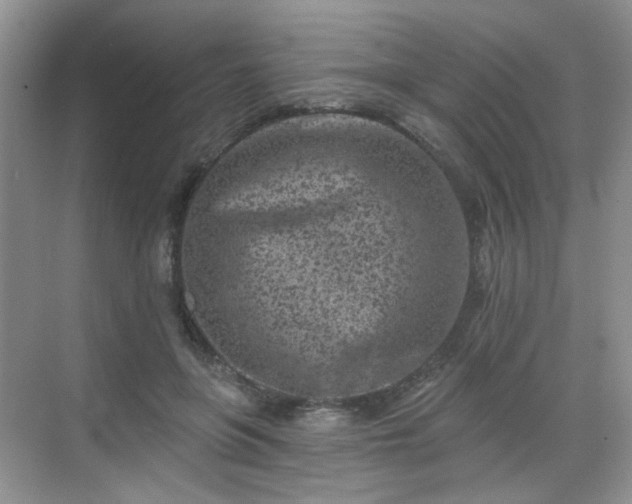 X0000068720551200605051436