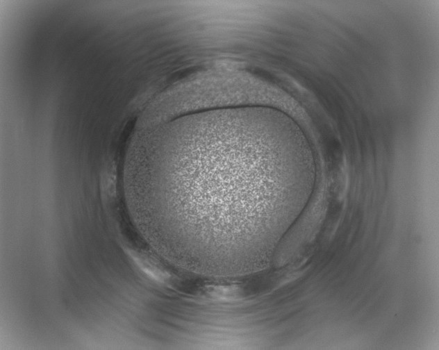 X0000068720552200605051436