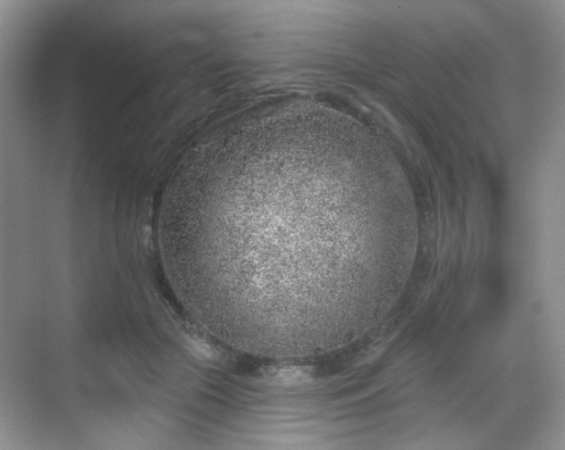 X0000068720553200605051436