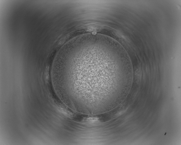 X0000068720554200605051436