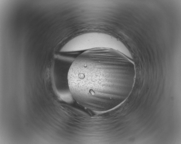 X0000068720556200605051436