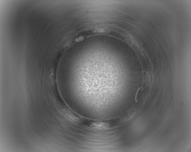 X0000068720557200605051436