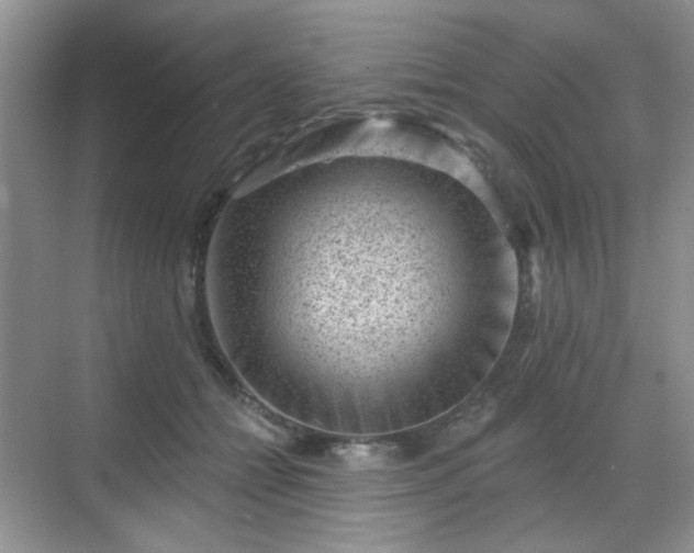 X0000068720558200605051436