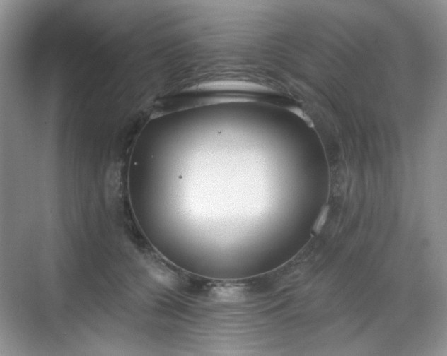 X0000068720560200605051436