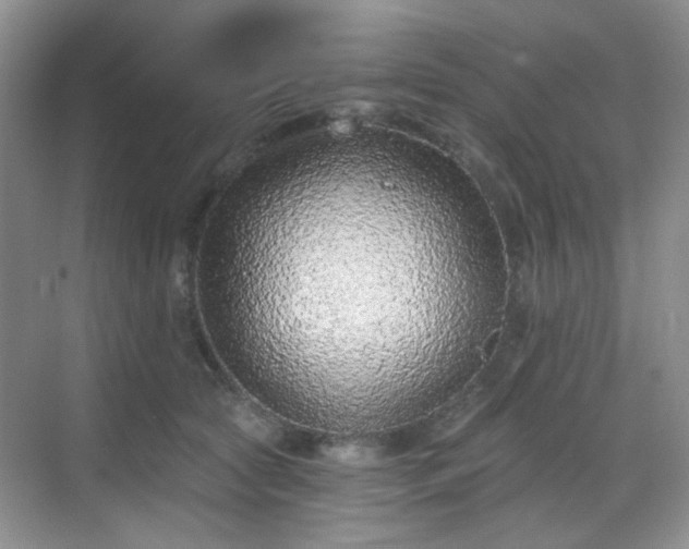 X0000068720561200605051436