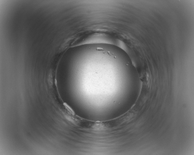 X0000068720562200605051436