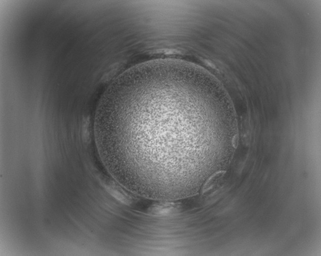 X0000068720563200605051436