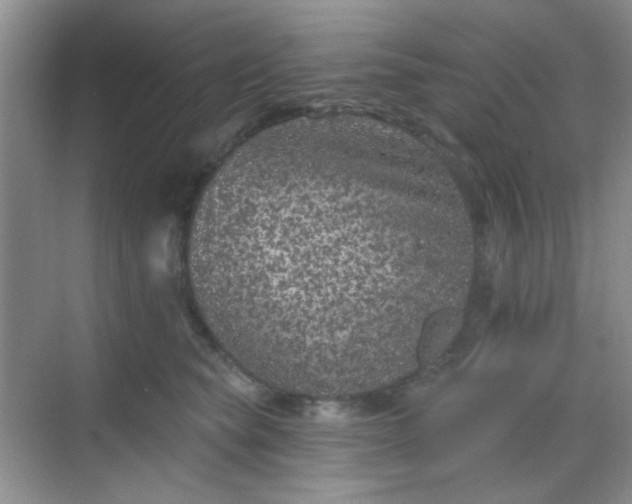 X0000068720565200605051436