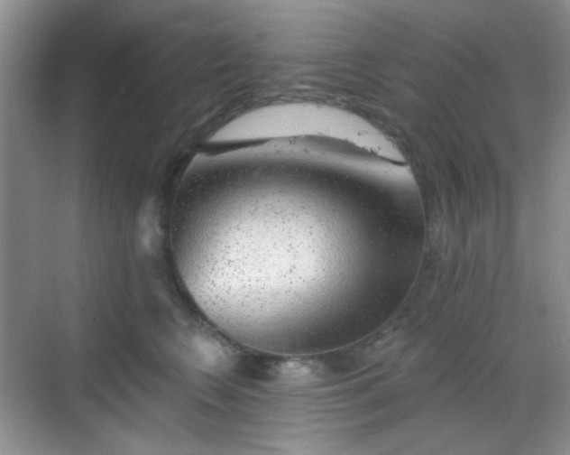 X0000068720566200605051436