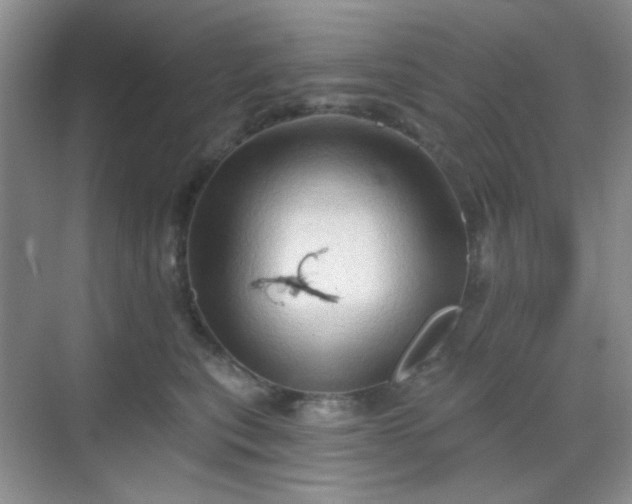 X0000068720567200605051436