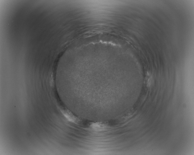 X0000068720568200605051436