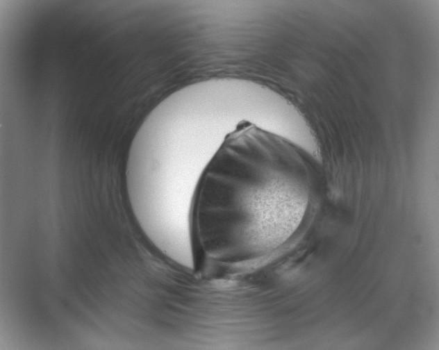 X0000068720570200605051436