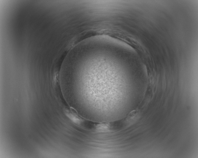 X0000068720574200605051436