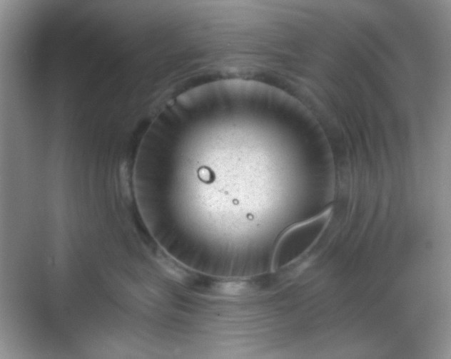 X0000068720575200605051436