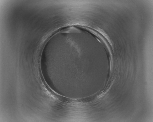 X0000068720577200605051435