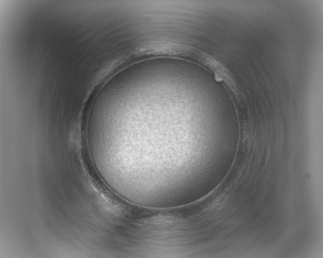 X0000068720578200605051435