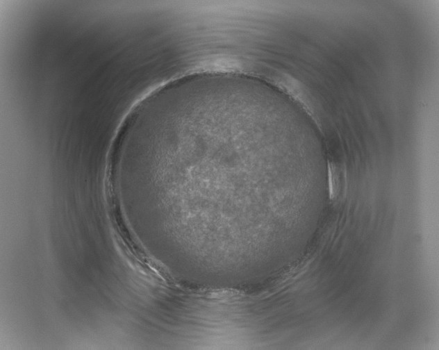 X0000068720579200605051435