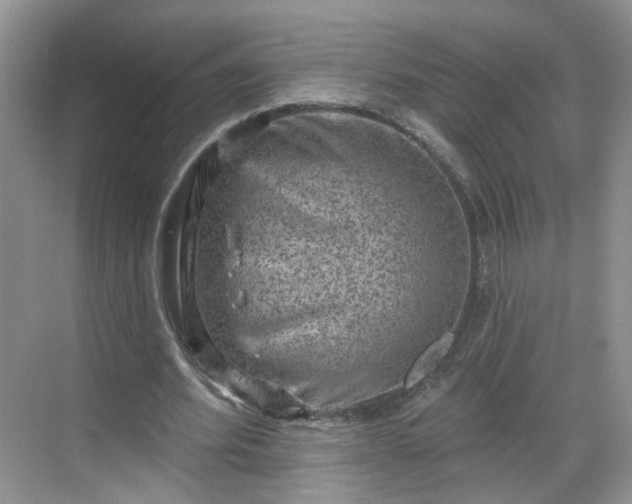 X0000068720580200605051435