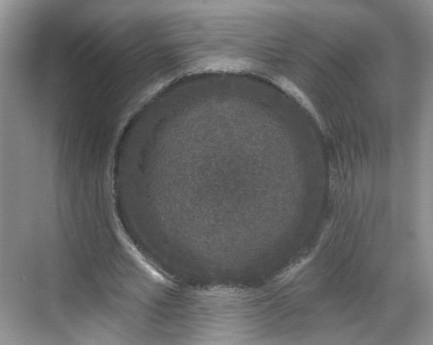 X0000068720581200605051435