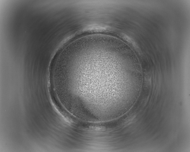 X0000068720582200605051435