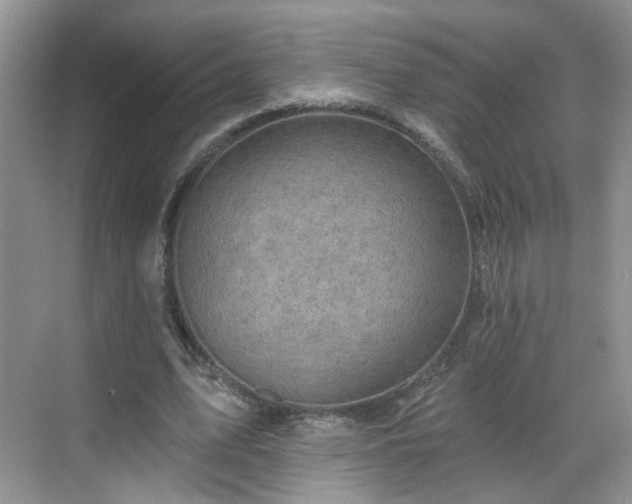 X0000068720583200605051435