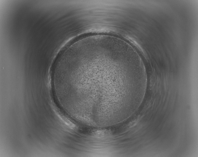 X0000068720584200605051435