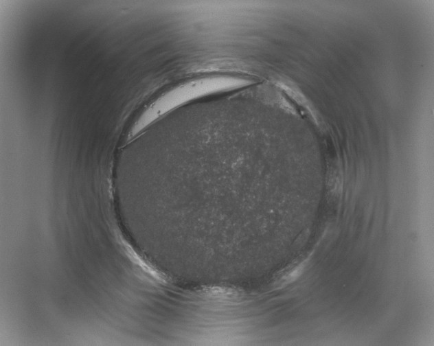 X0000068720585200605051435