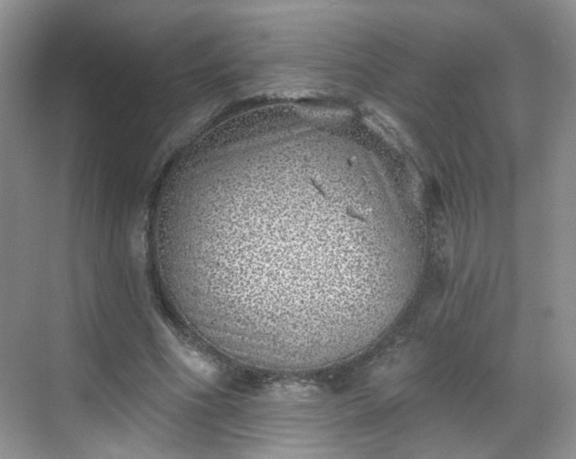 X0000068720586200605051435