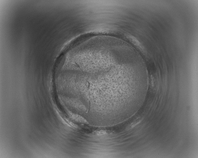 X0000068720588200605051435